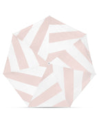 CASSIOPEA(カシオペア)